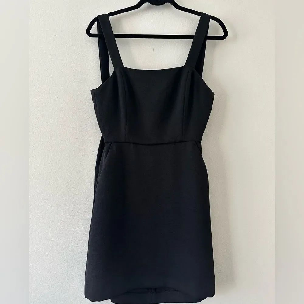 Aritzia Classic Black Mini Dress
